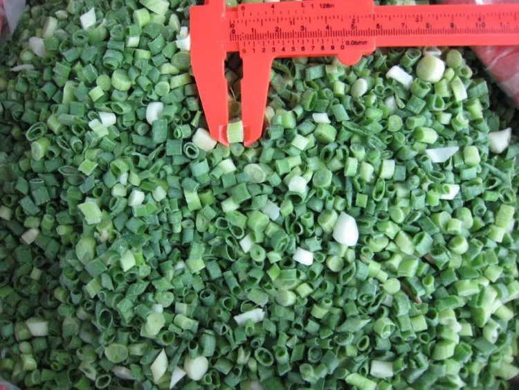 Frozen IQF Spring Onion Cuts, Green Onion