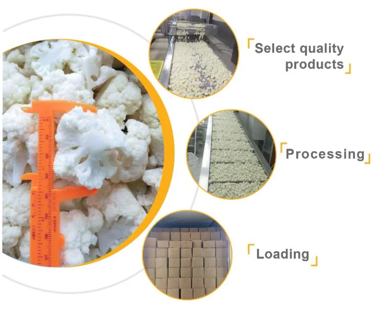 IQF Frozen Cauliflower with High Quality and Good Price