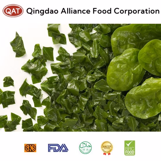 Épinards hachés biologiques surgelés certifiés IQF de Nop EU en provenance de Chine