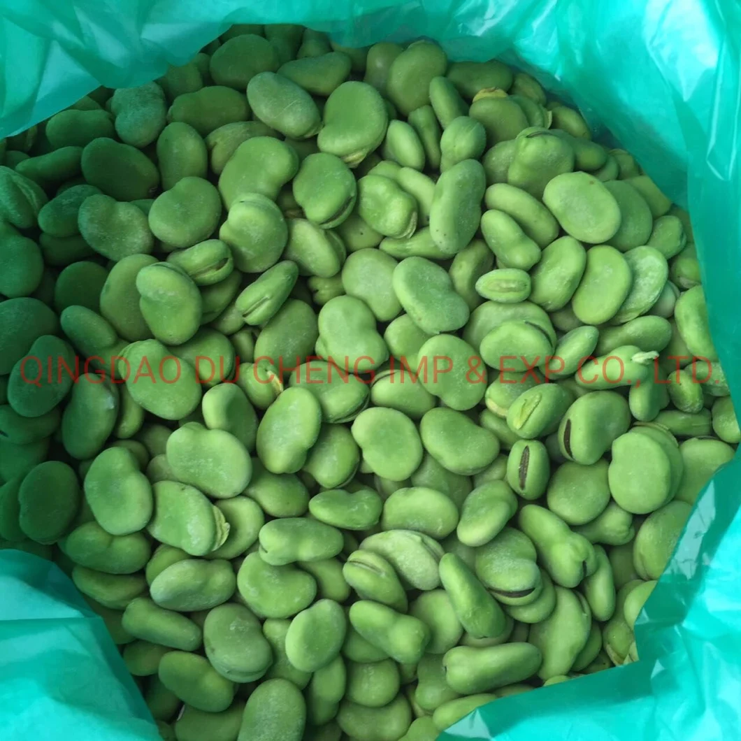 Top Grade Dry Fava Beans / Dry Yellow Broad Beans/ Frozen Green Broad Bean