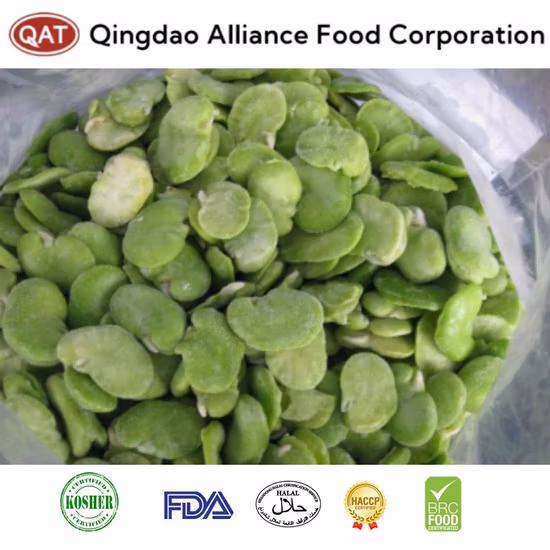 Noyaux de fèves vertes Fava congelées de nouvelle récolte avec qualité d'exportation