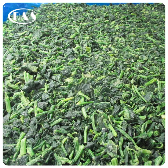 Chine Légumes coupés aux épinards surgelés IQF