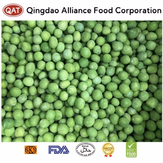 Gousses de pois IQF, Gousses de pois congelés, Gousses de pois congelés IQF, Pois mange-tout congelés IQF, Pois mange-tout congelés, Meilleurs prix, Bonne qualité, Certifié ISO/HACCP/Brc/Casher/Halal