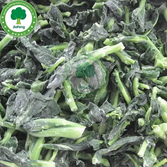 Usine d'exportation d'épinards de légumes surgelés IQF