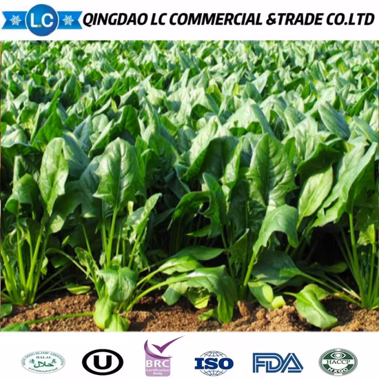 Légumes chinois Épinards surgelés IQF