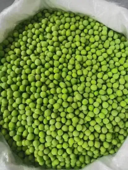 Gousses de pois congelés, Gousses de pois IQF, Gousses de pois congelés IQF, Pois mange-tout congelés IQF, Pois mange-tout congelés, Meilleurs prix, Bonne qualité, Certifié ISO/HACCP/Brc/Casher/Halal